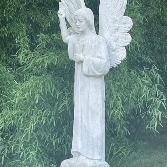 My yorkie has passed my heart is broken ๐ But Above My New Puppy A Fab Gift - Picture 6 of 14